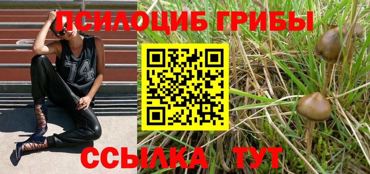 Галлюциногенные грибы Psilocybine cubensis  Вход с VPN  Медногорск 