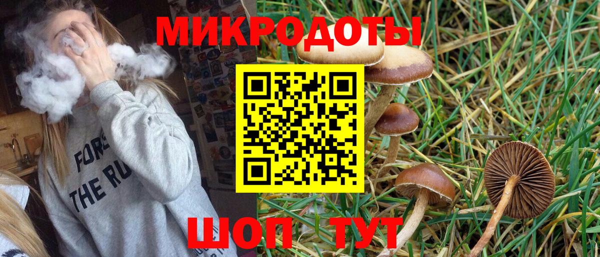 Галлюциногенные грибы Cubensis Медногорск